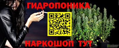 дживик Чебаркуль
